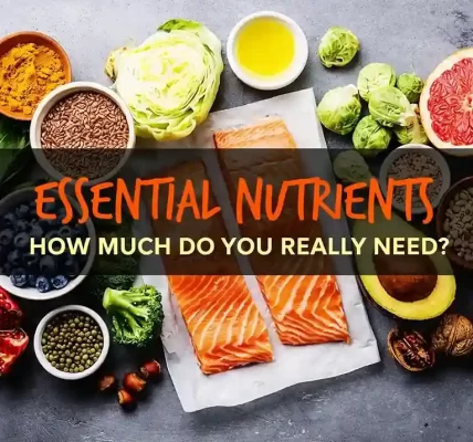 essential-nutrients-and-their-sources