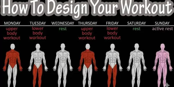Days a Week Should You Work Out